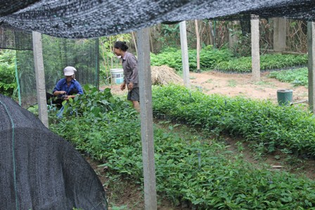 Vĩnh phúc Tăng cường phát triển nền Đông y Việt Nam và Hội đông y trong tình hình mới